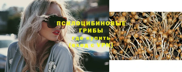 гидропоника Аркадак
