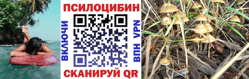 Псилоцибиновые грибы Magic Shrooms  наркота  Сердобск 
